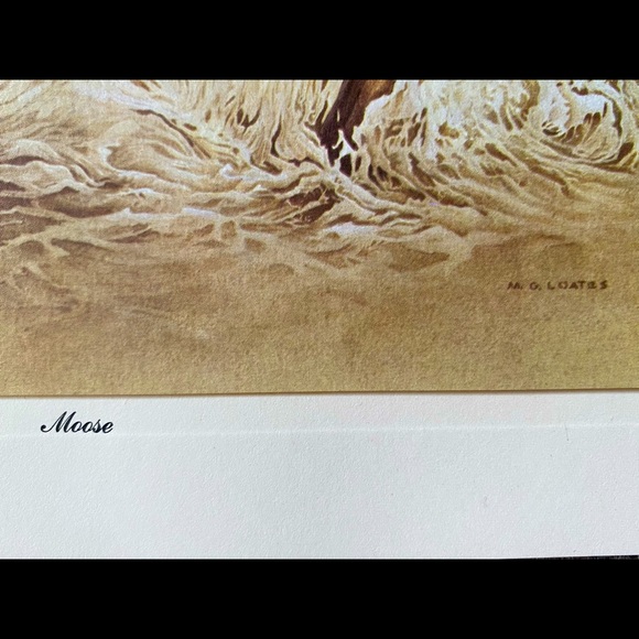 M.G. Loates prints, ca. 1967 - Picture 8 of 8